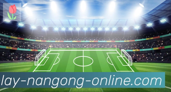 App功能展示图